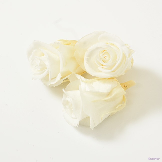 プリザーブド フラワー プリザ ローズ バラ 花材 切り花 白 ホワイト