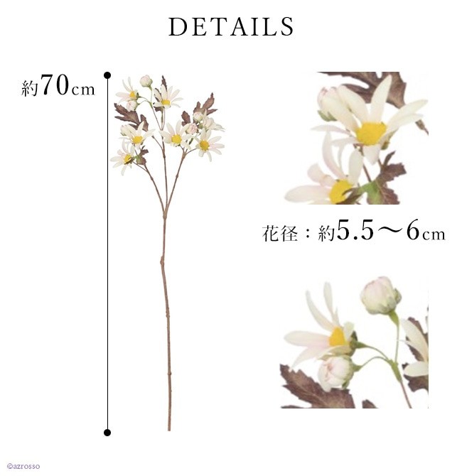 デージー デイジー ヒナギク 雛菊 白 ホワイト 花 材料 インテリア