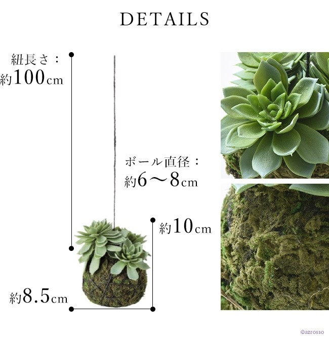 吊り下げ 観葉植物 多肉植物 2個 セット おしゃれ インテリア 天井