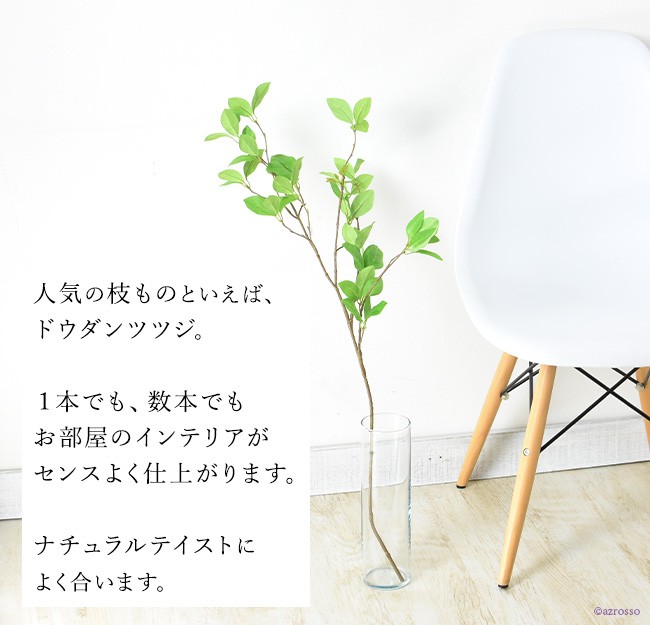 フェイクグリーンのドウダンツツジ