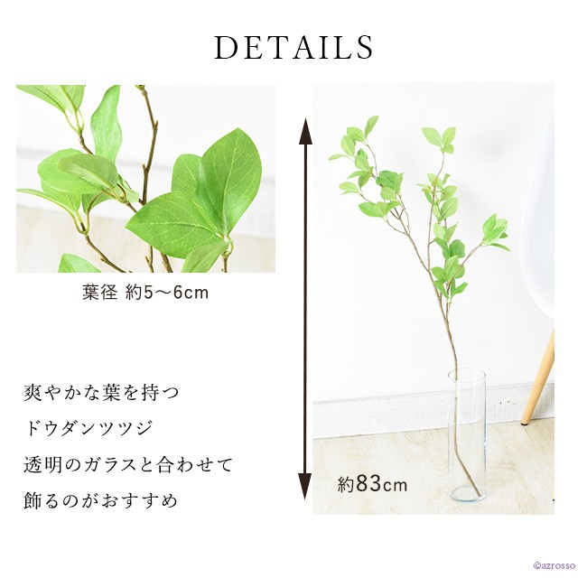 フェイクグリーンのドウダンツツジ