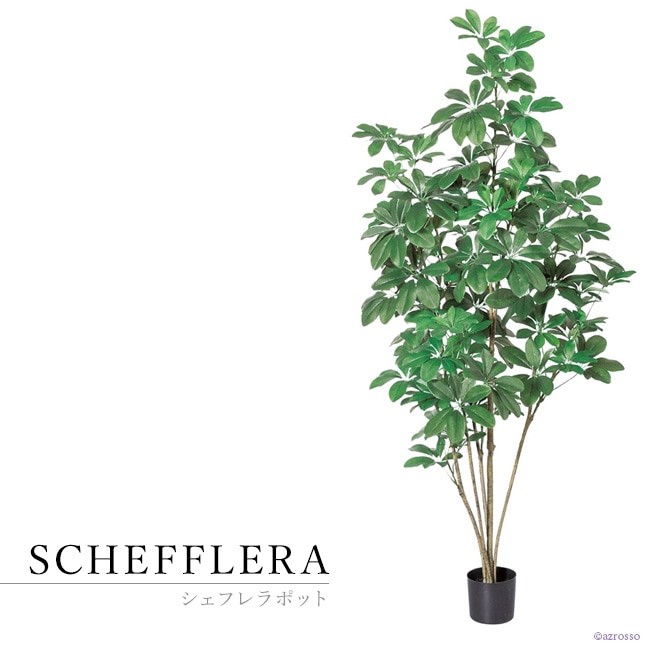 フェイク グリーン 観葉植物 カポック シェフレラ 1m 150 cm おしゃれ