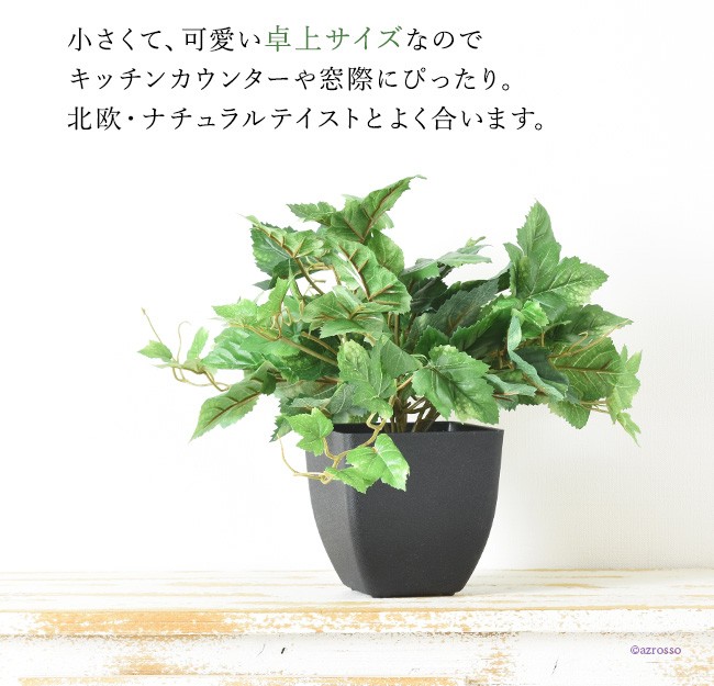 フェイク グリーン 人工 観葉植物 アイビー 造花 ミニ 小さいサイズ おしゃれ 枯れない インテリア 北欧 ナチュラル :cf50877:シルク ド  フラワー - 通販 - Yahoo!ショッピング