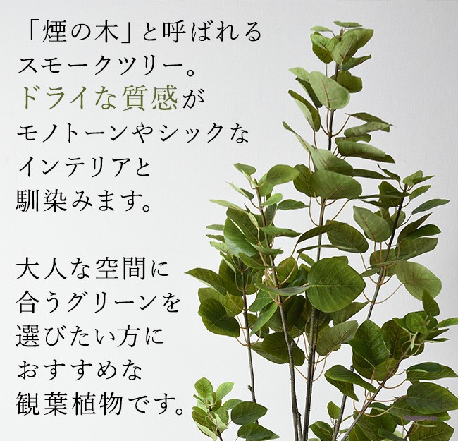 フェイク グリーン 人工 観葉植物 スモーク ツリー 1.5m 150cm