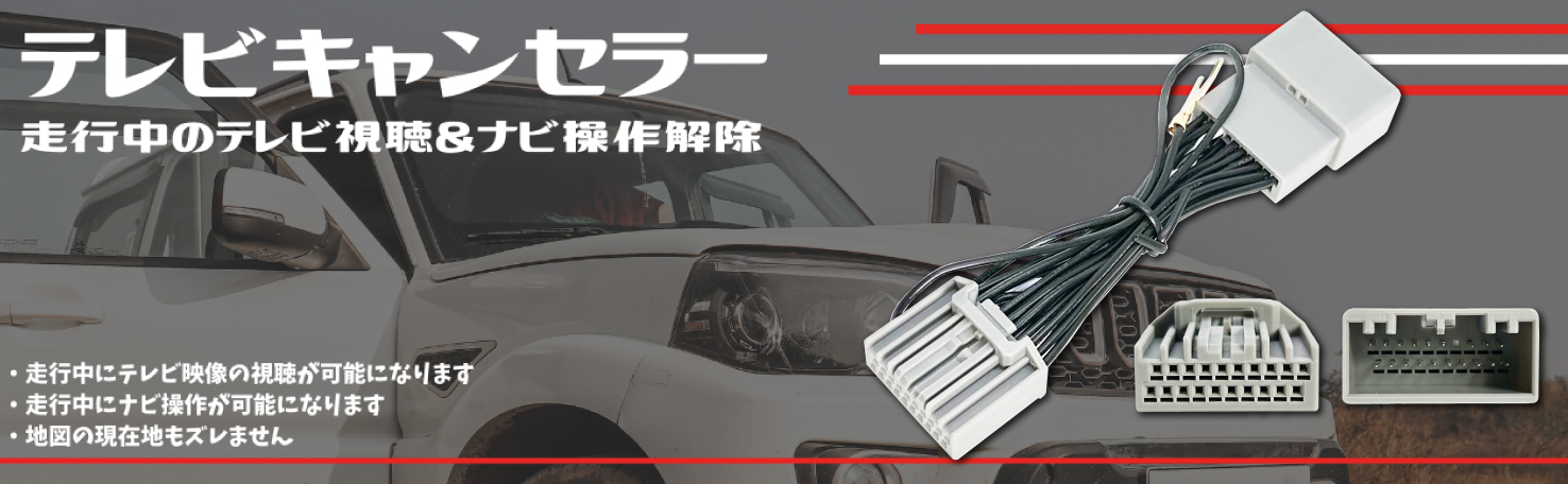 走行中テレビが見れる