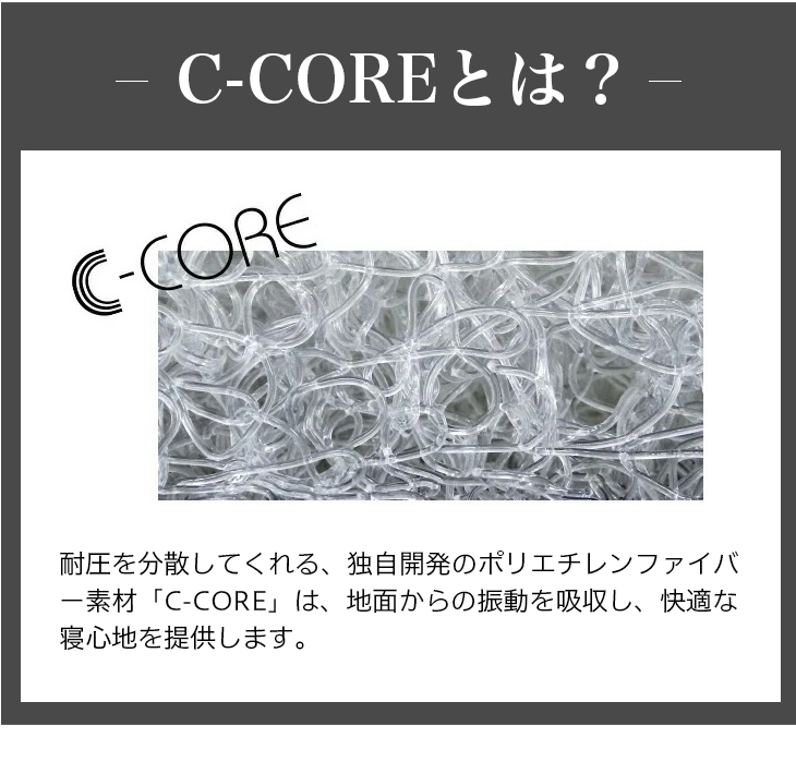 AIRBUGGY DOME3 C-CORE MAT REGULAR