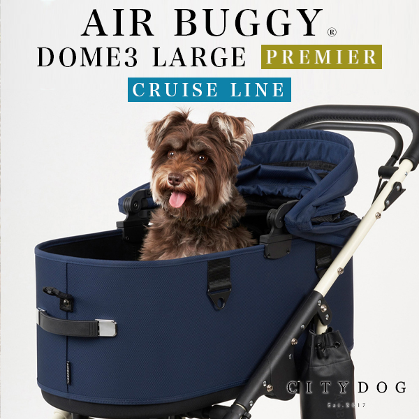 AIRBUGGY DOME3 LARGE PREMIUM SET