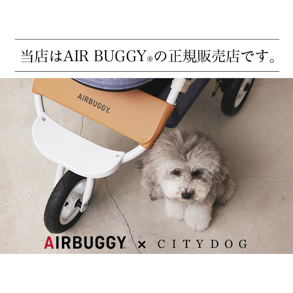 AIRBUGGY DOME3 REGULAR SET