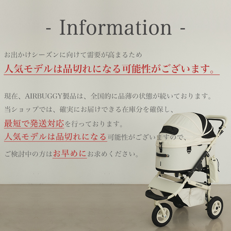 AIRBUGGY info