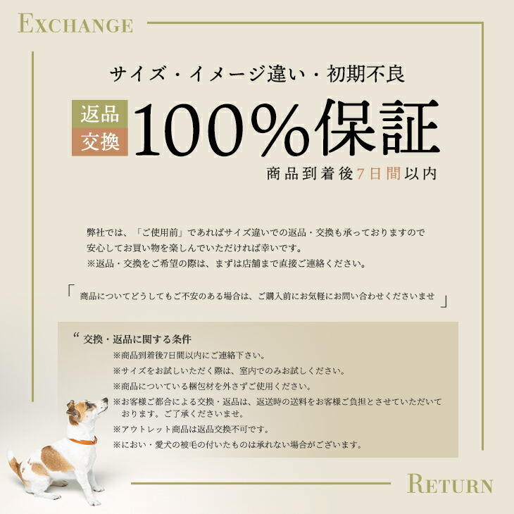 CITYDOG 返品・交換100％保証