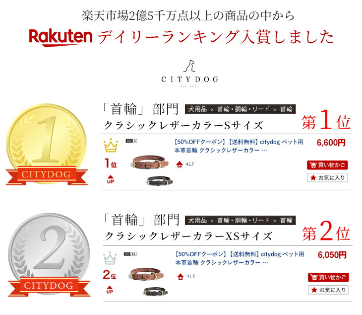 楽天ランキング第一位