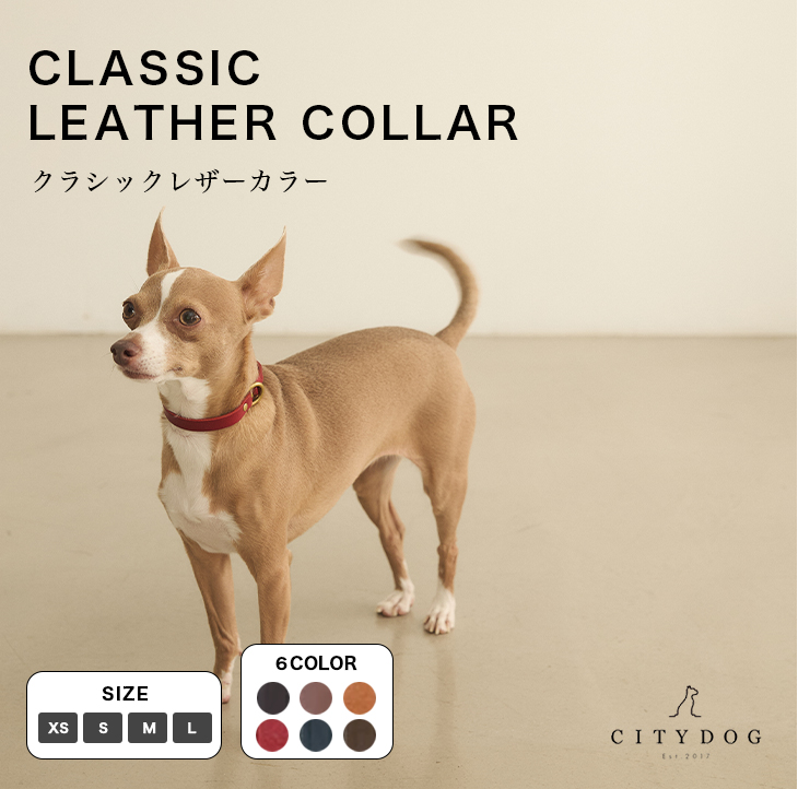 CITYDOG クラシックレザーカラー