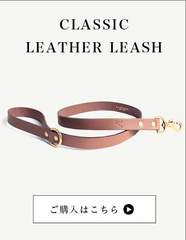 クラシックレザーリード