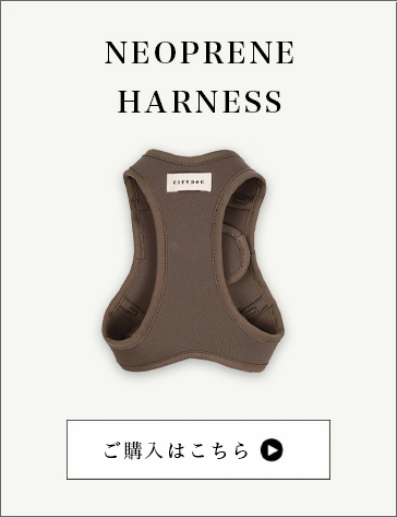 ネオプレーンハーネス