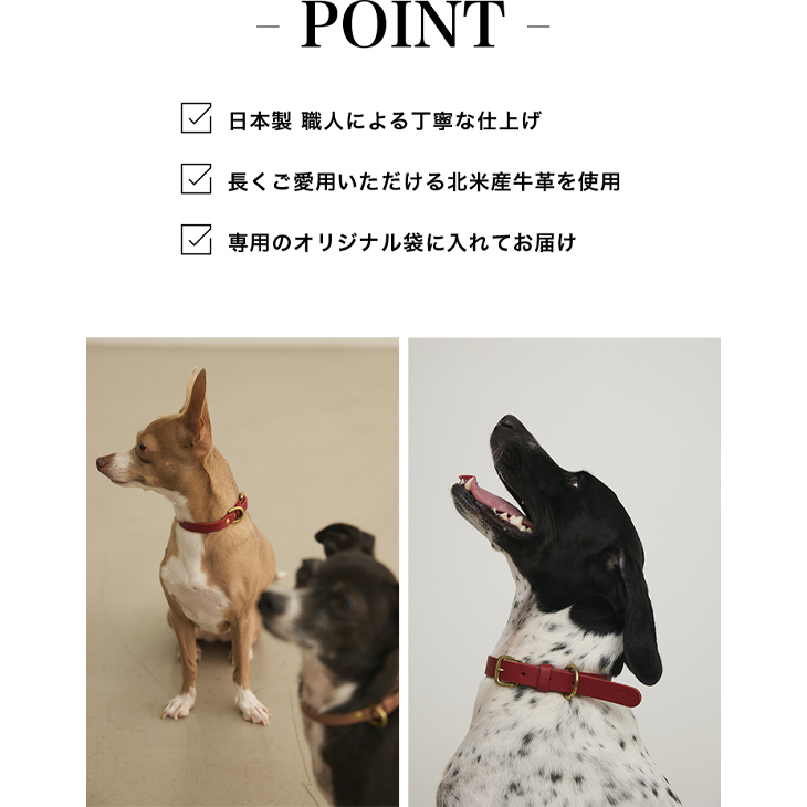 CITYDOG クラシックレザーカラー