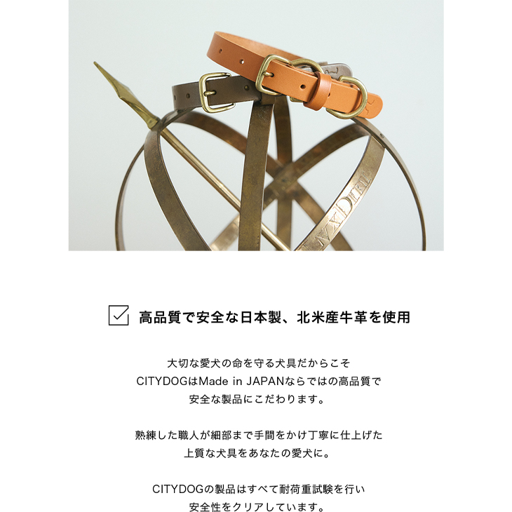 CITYDOG クラシックレザーカラー