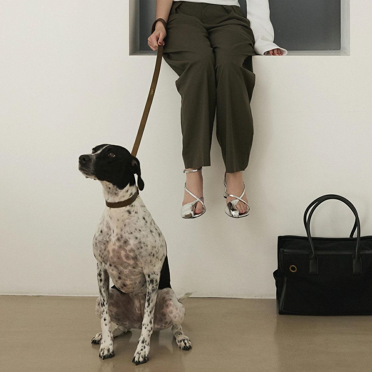 CITYDOG ディムグレー 首輪 リード収納袋付き 超小型犬 別売りok 楽天市場】犬 ハーネス おしゃれ ｜ ペット リード 簡単