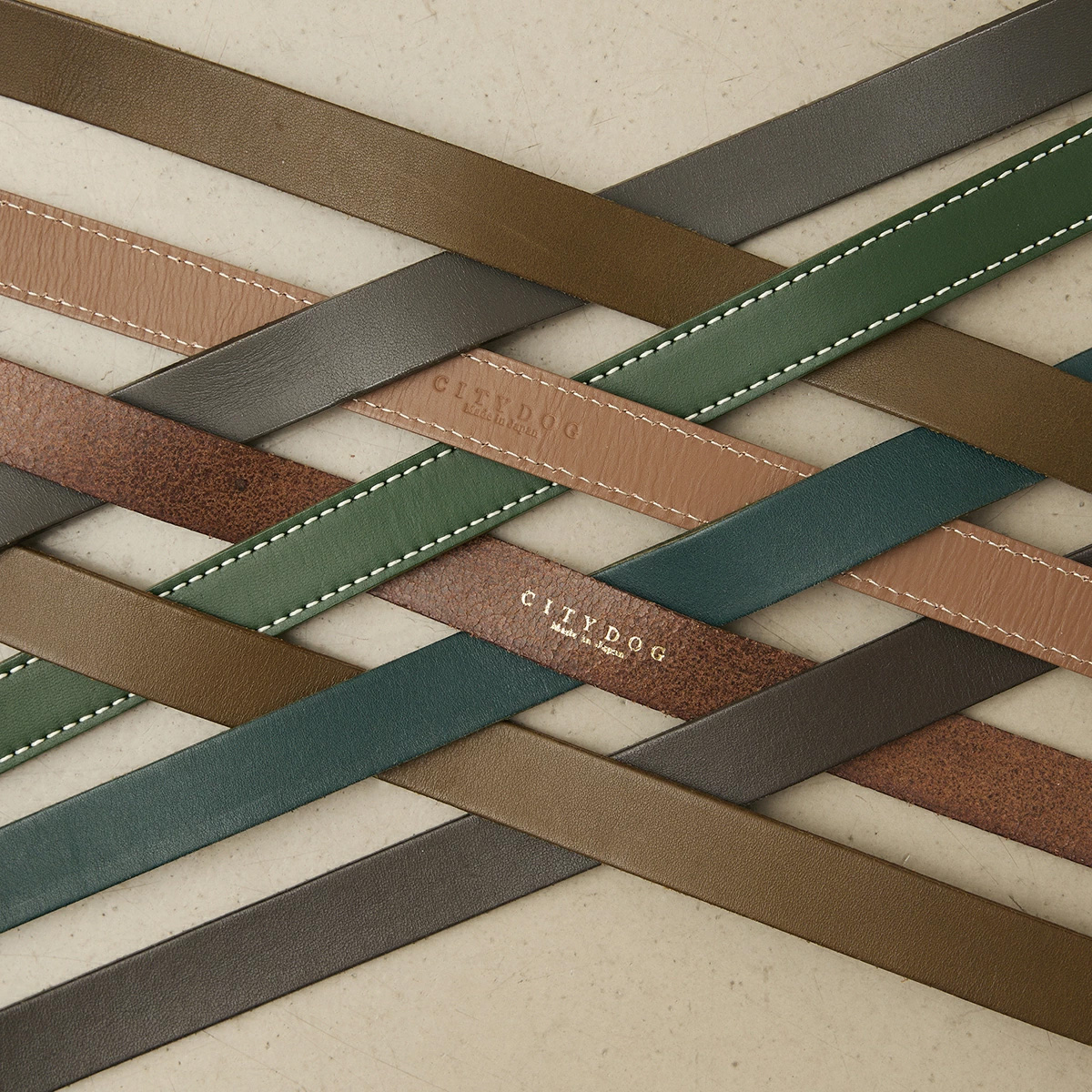 CITYDOG クラシックレザーリード