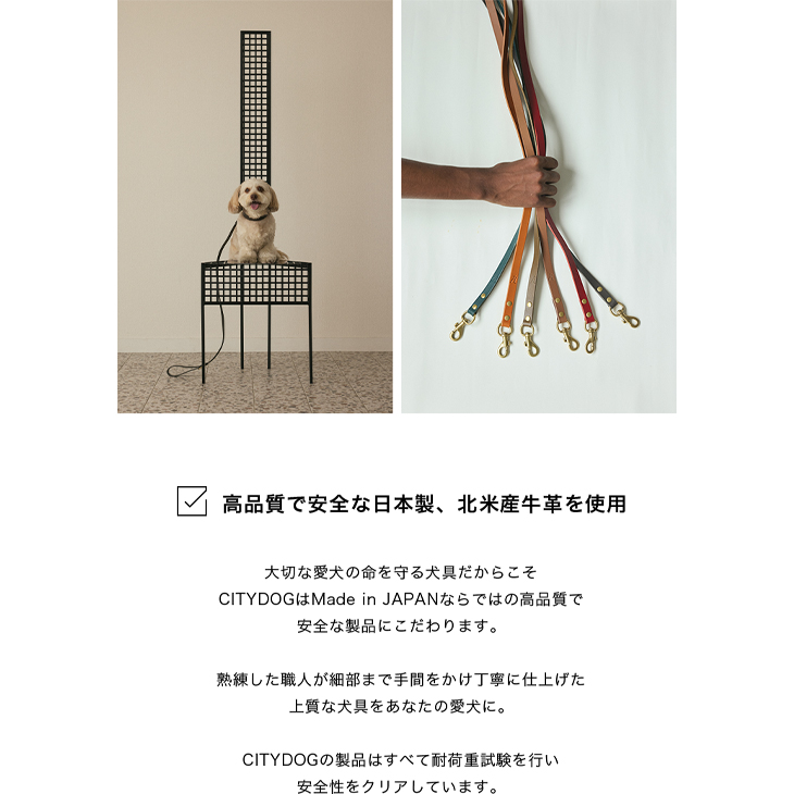 CITYDOG クラシックレザーリード
