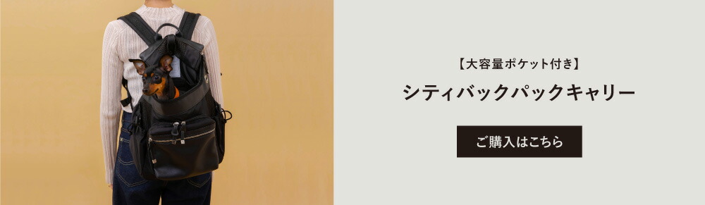 シティバックパックキャリーはこちら