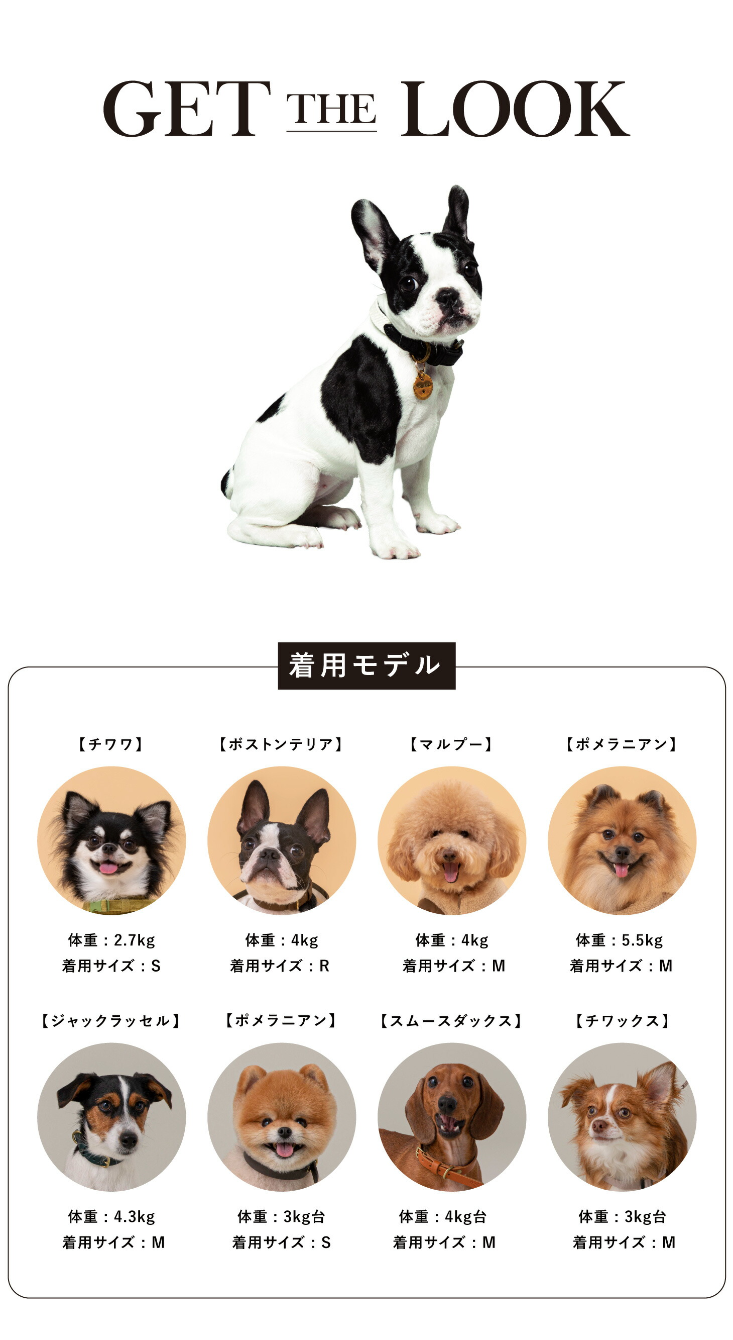 犬 リュック ペットキャリー 人気No1 犬 キャリーバッグ 犬キャリーケース ペットリュック ネオプレーン キャリー 小型犬 中型犬 防災 ｜  citydog シティドッグ : lf-c-nebackpack : CITYDOG - 通販 - Yahoo!ショッピング