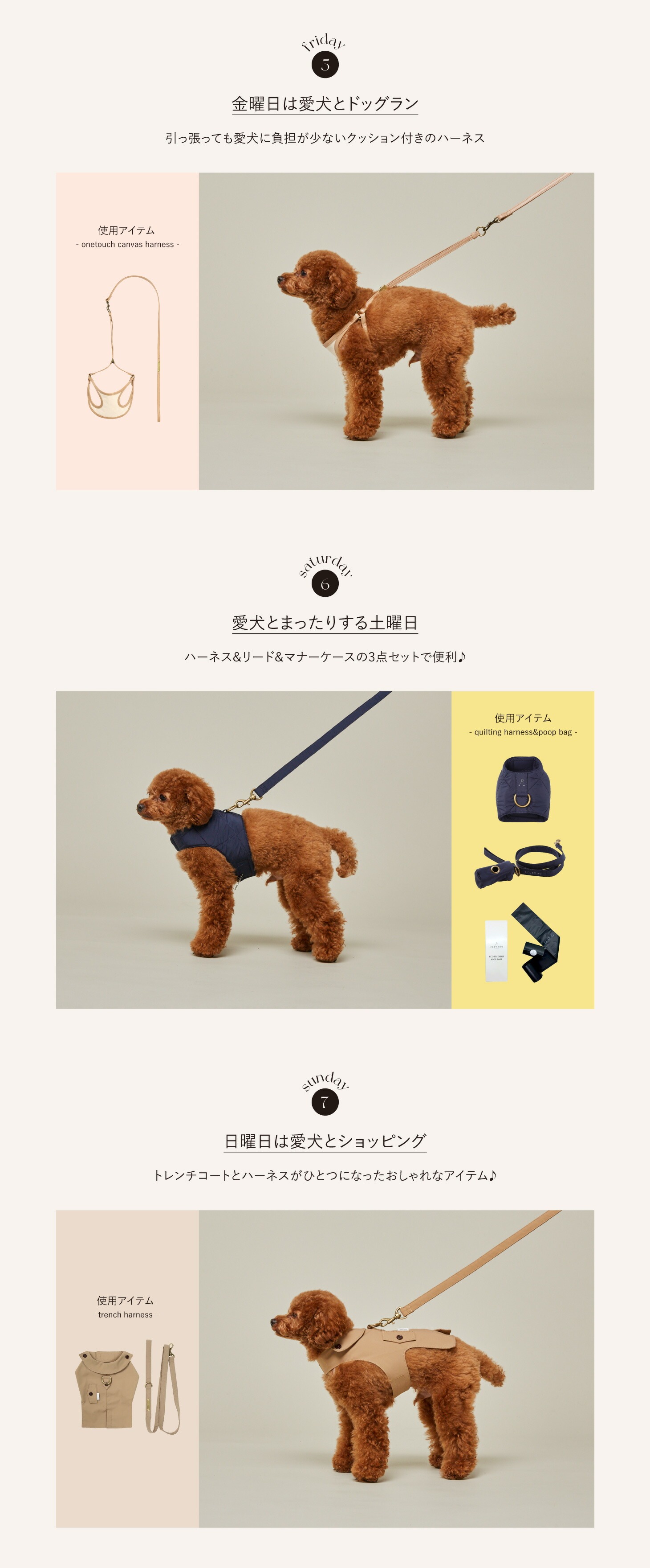 citydog シティドッグ 1weekお散歩セット ｜ 犬 猫 ペット 福袋