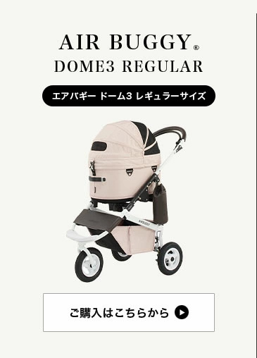 エアバギー ドーム3 レギュラー
