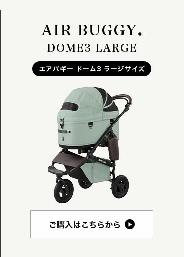エアバギー ドーム3 ラージ