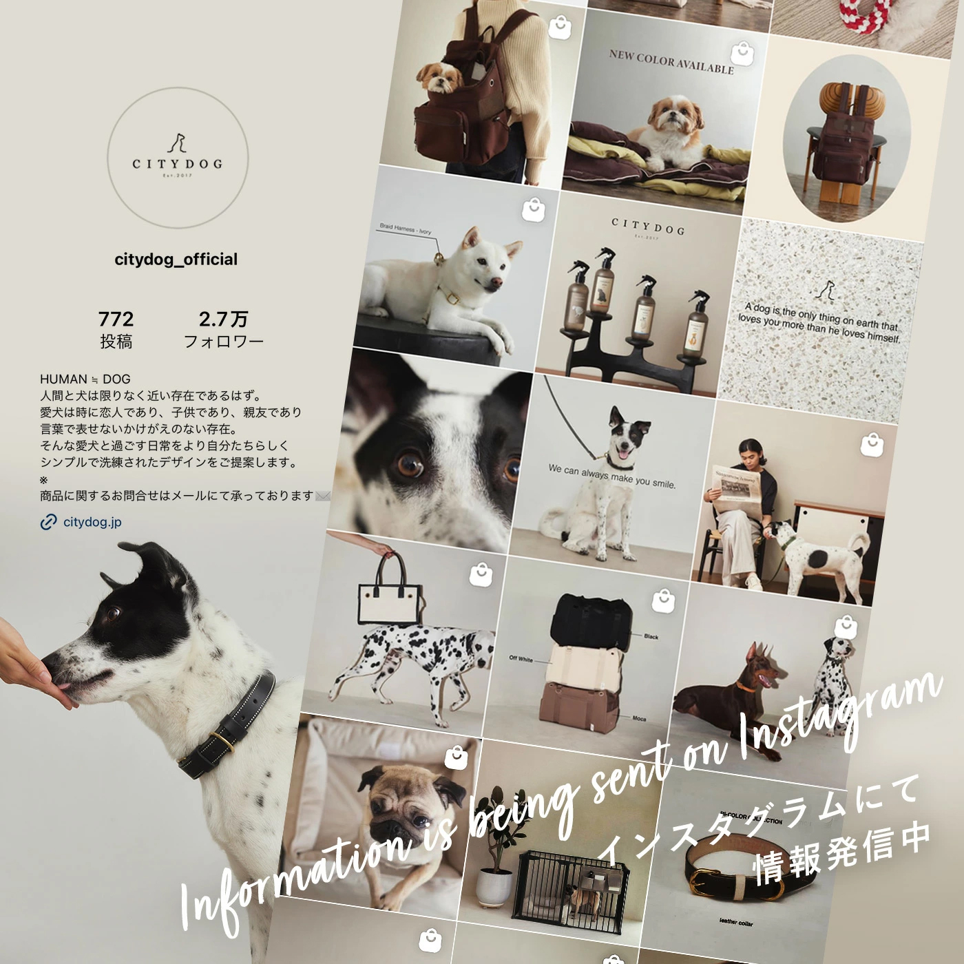 CITYDOG（シティドッグ） 犬 カート クッション ペットカート ペット