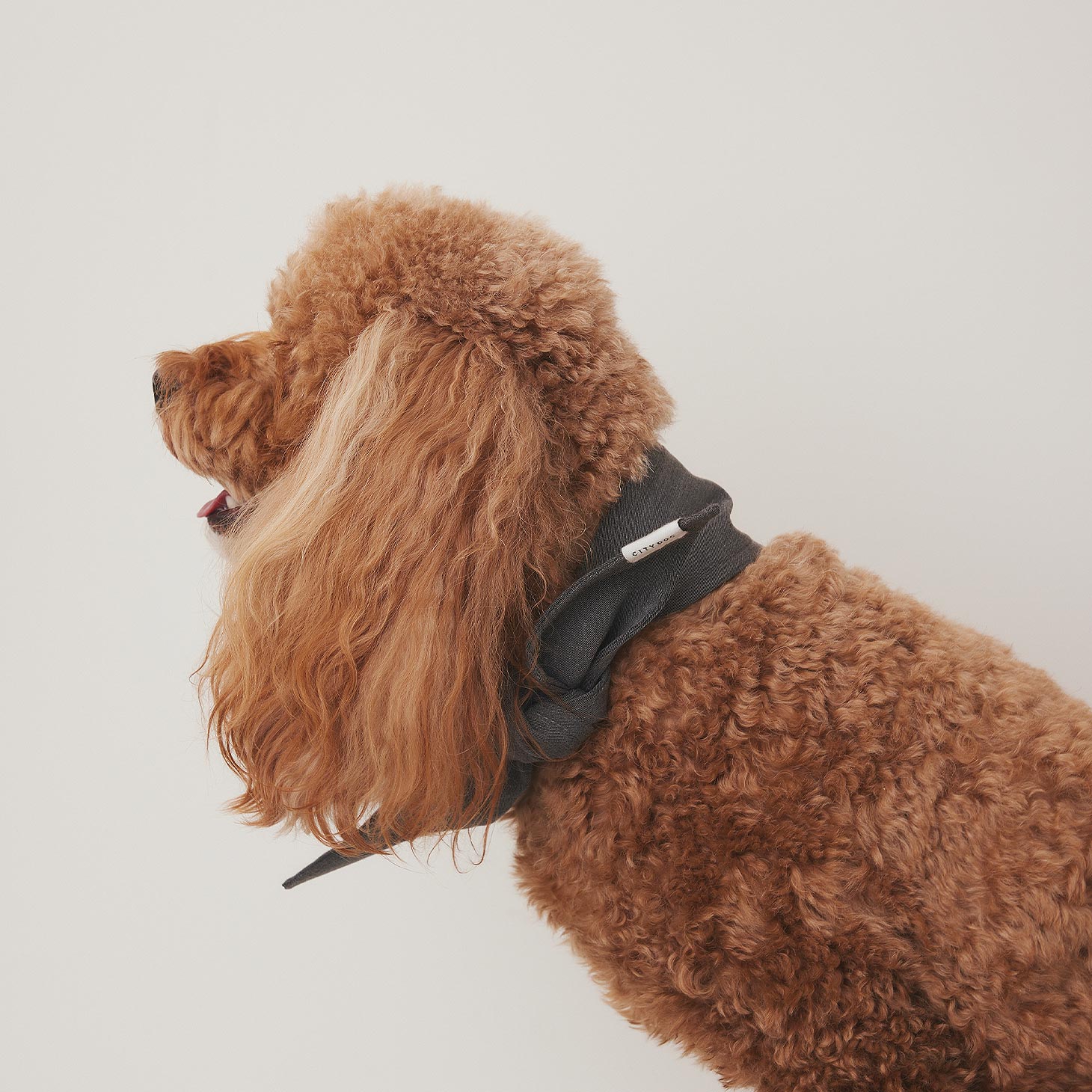 犬 服 クールバンダナ 専用保冷剤付き 首輪 カラー スタイ 夏 涼しい 保冷剤 保冷シート 超小型犬 小型犬 中型犬 手洗い可 暑さ対策 | citydog シティドッグ | CITYDOG | 14