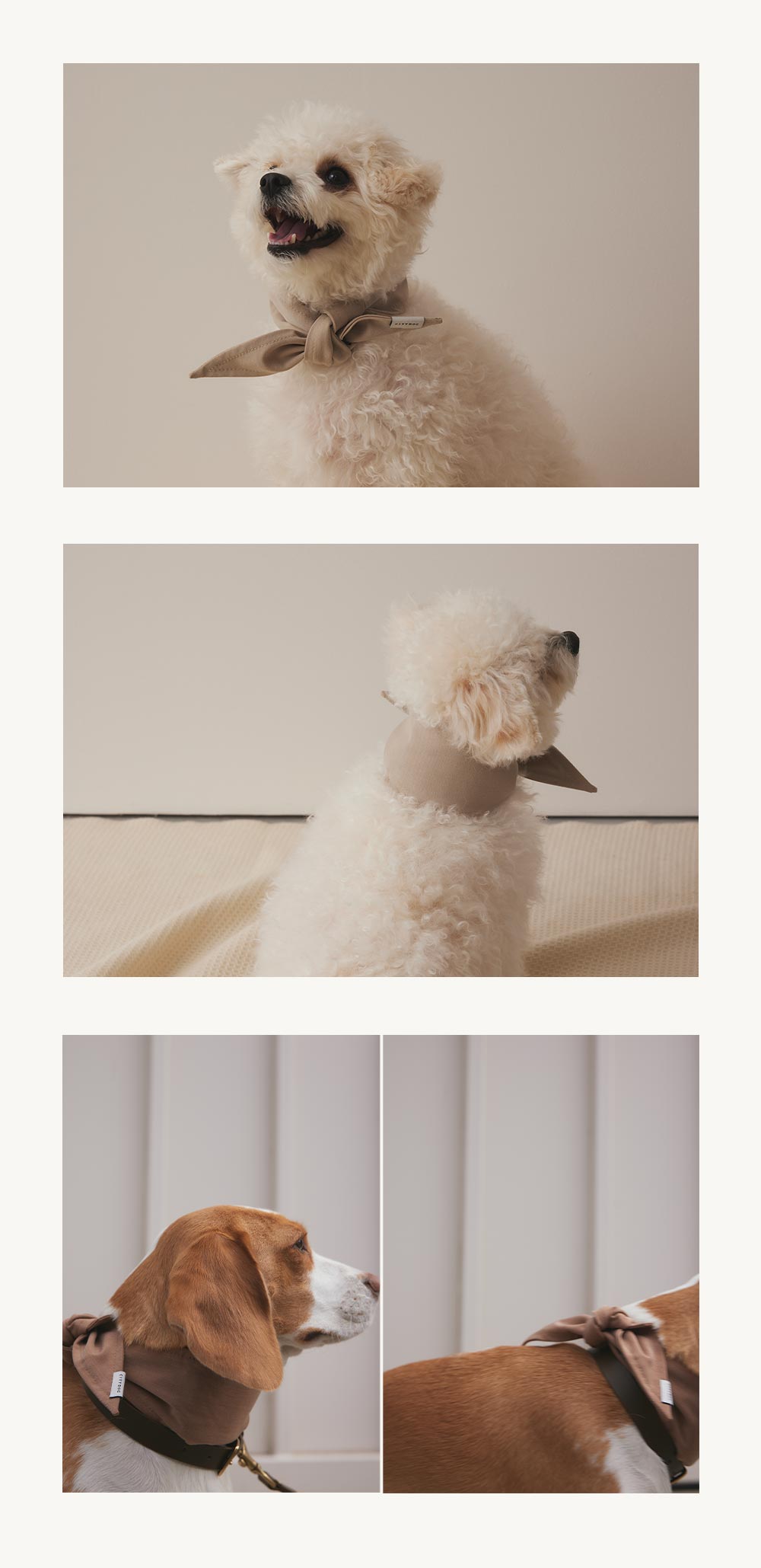 citydog 保冷剤付き クールバンダナ