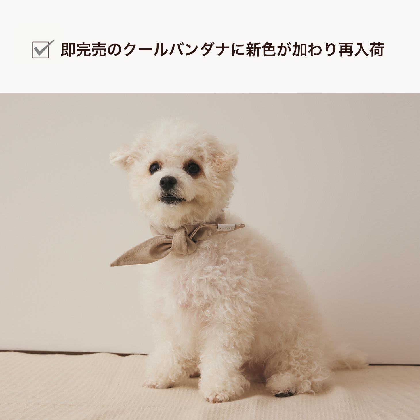 犬 服 クールバンダナ 専用保冷剤付き 首輪 カラー スタイ 夏 涼しい 保冷剤 保冷シート 超小型犬 小型犬 中型犬 手洗い可 暑さ対策 | citydog シティドッグ | CITYDOG | 01