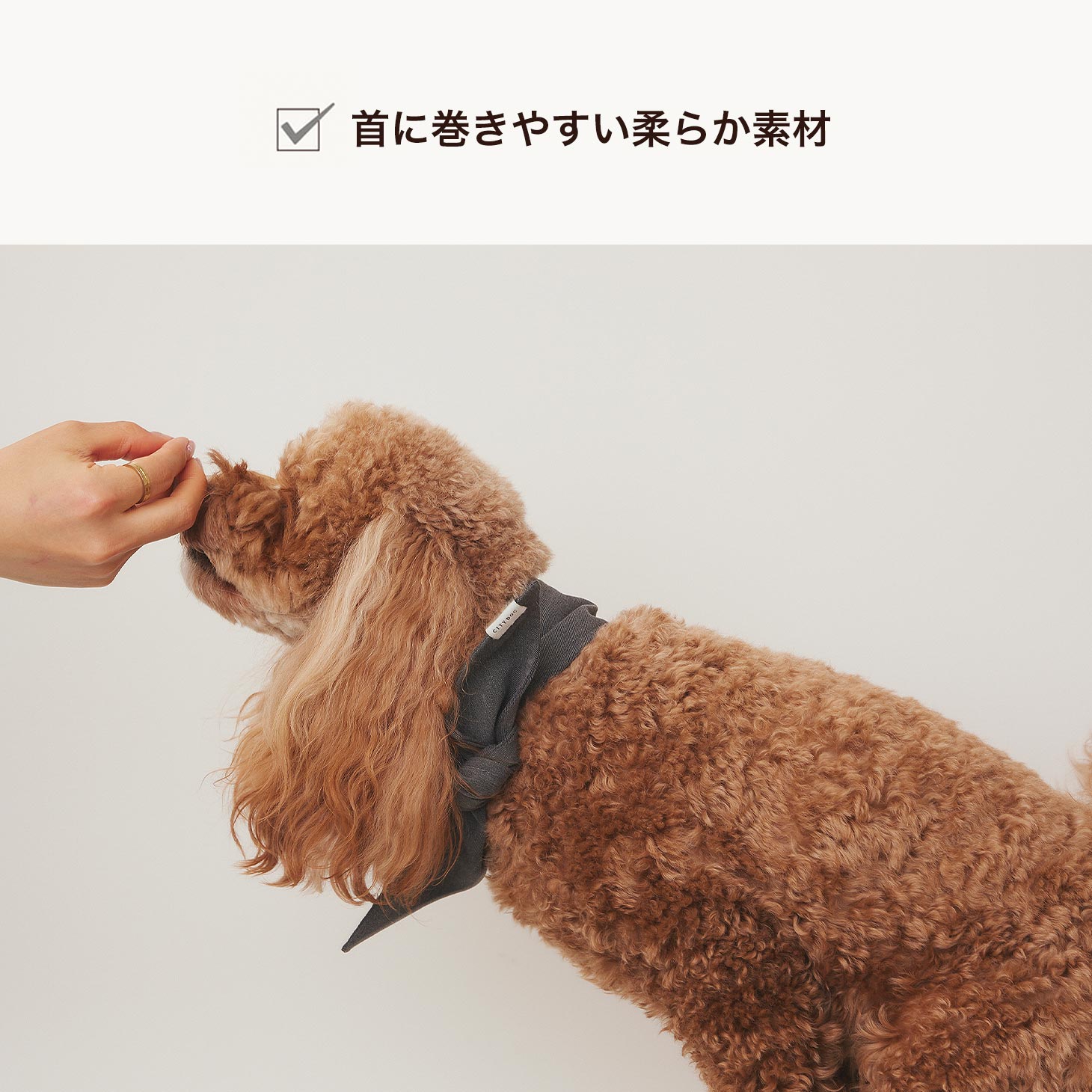 犬 服 クールバンダナ 専用保冷剤付き 首輪 カラー スタイ 夏 涼しい 保冷剤 保冷シート 超小型犬 小型犬 中型犬 手洗い可 暑さ対策 | citydog シティドッグ｜citydog｜04