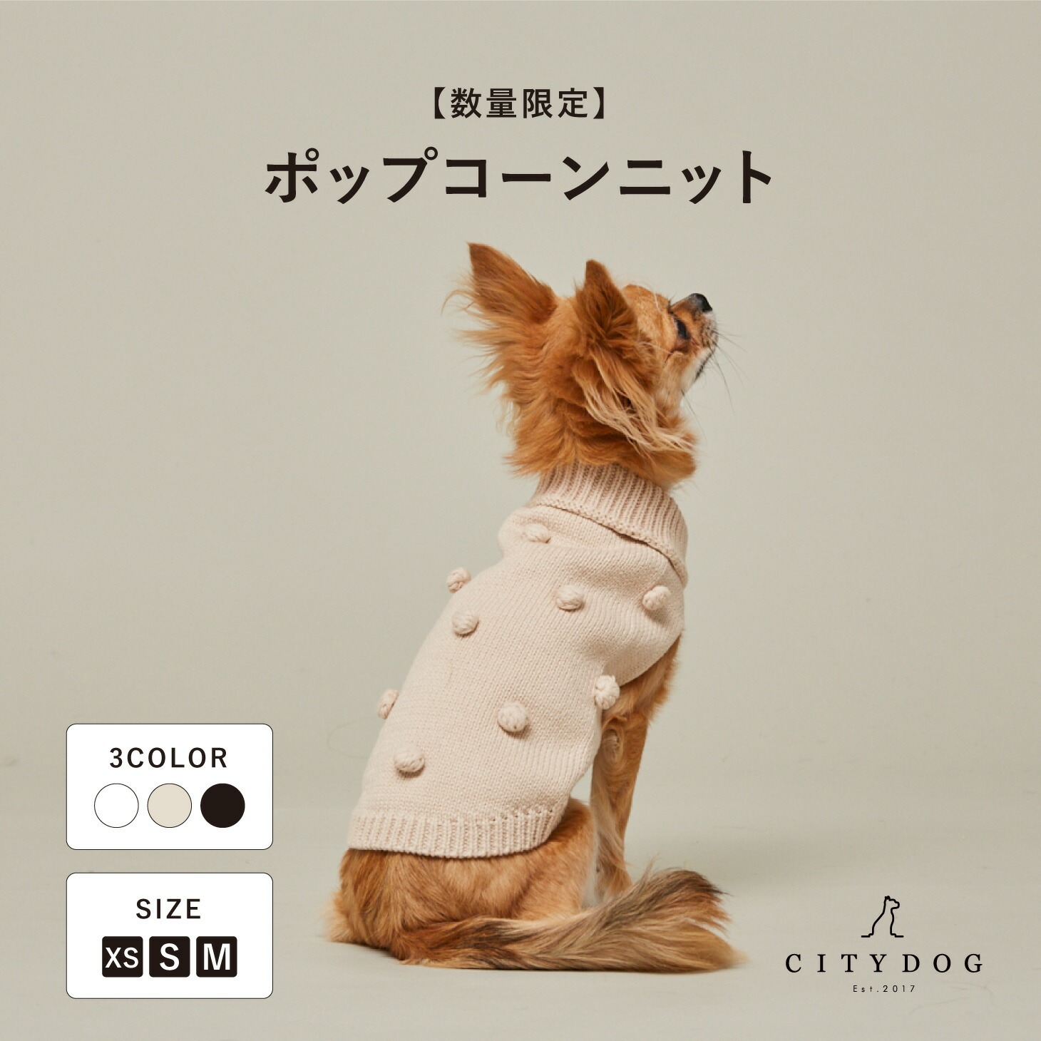 CITYDOG ニットウェア