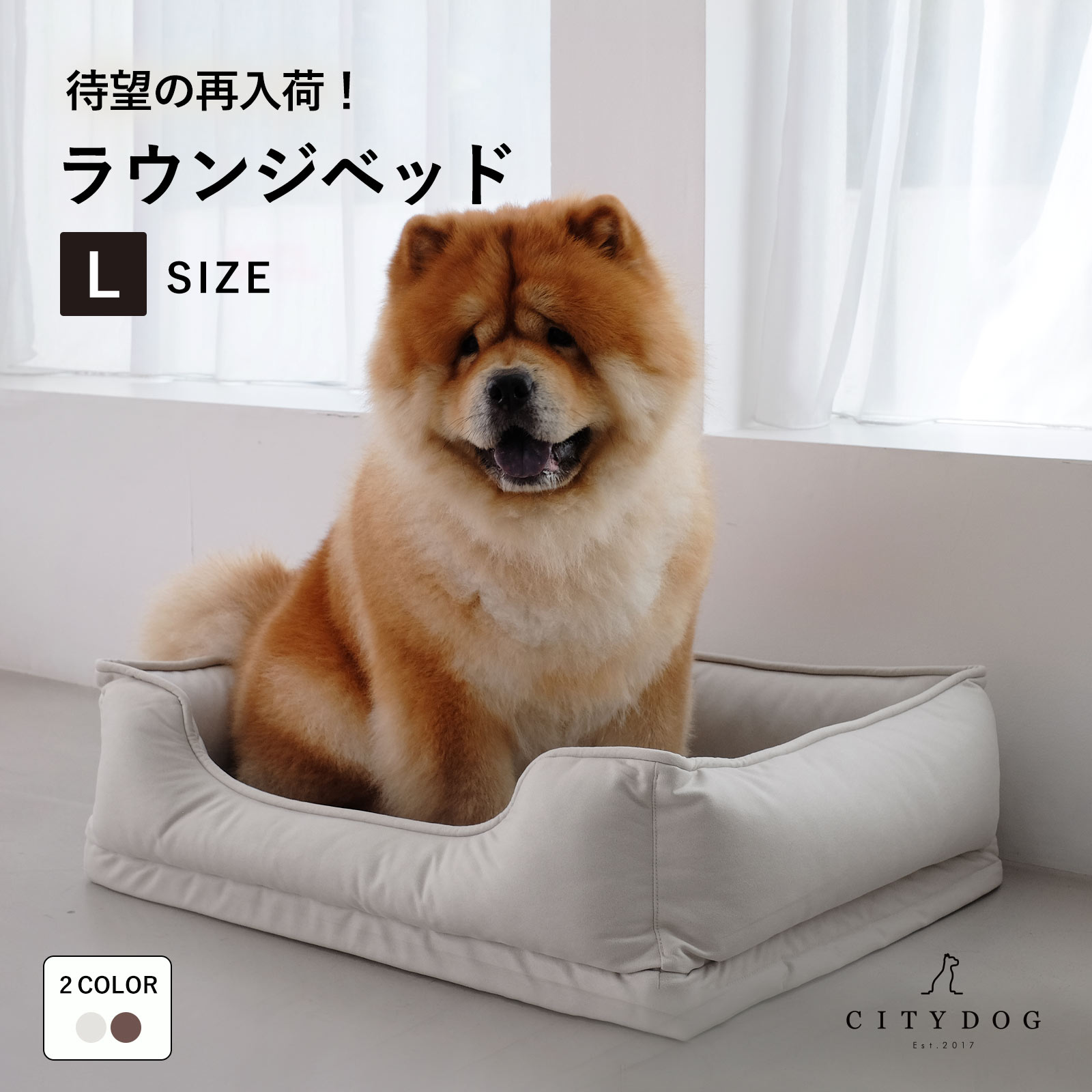 Amazon | [citydog/シティドッグ] ラウンジベッド ｜ 犬 ベッド
