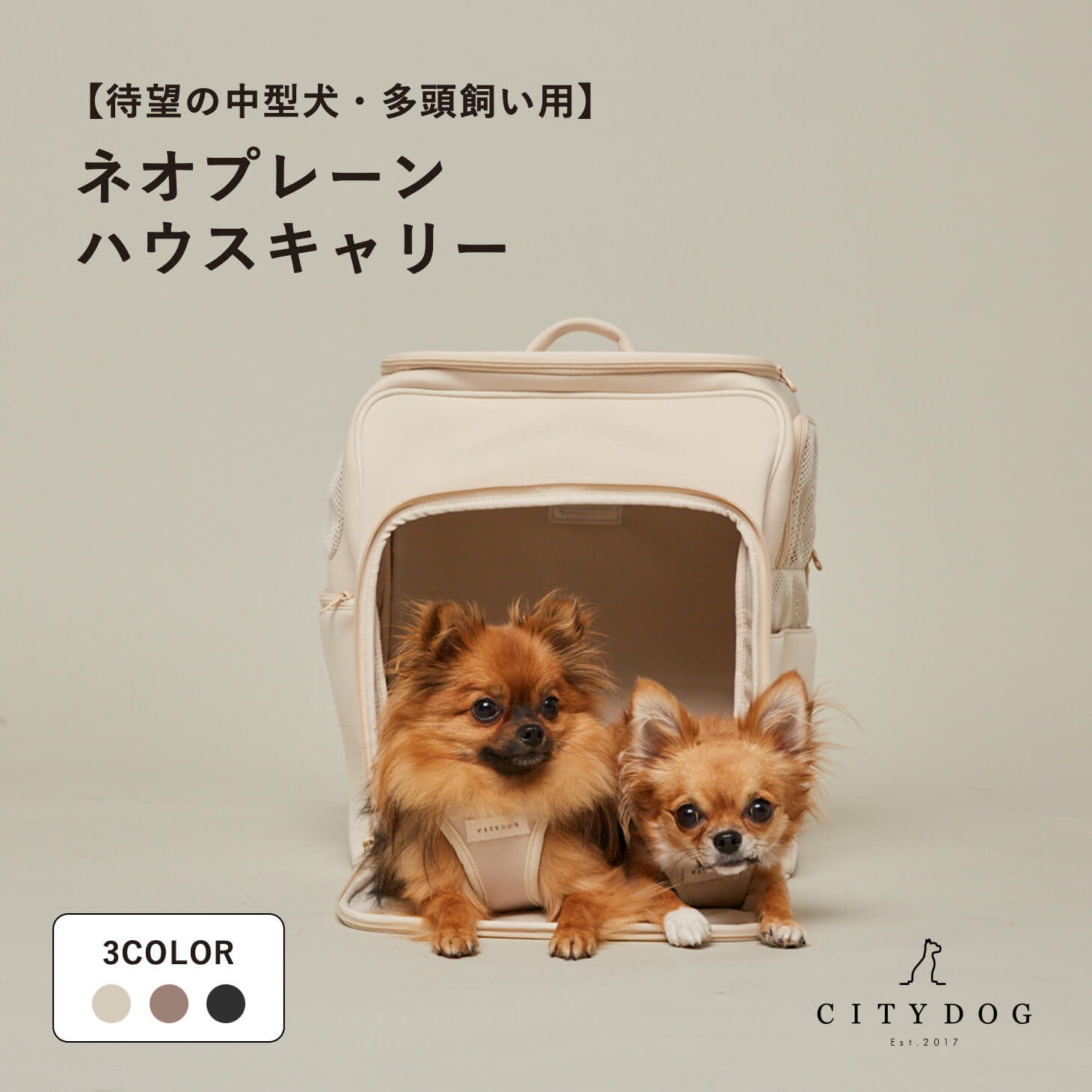 CITYDOG ネオプレーン ハウスキャリー ハーネスとお揃いで