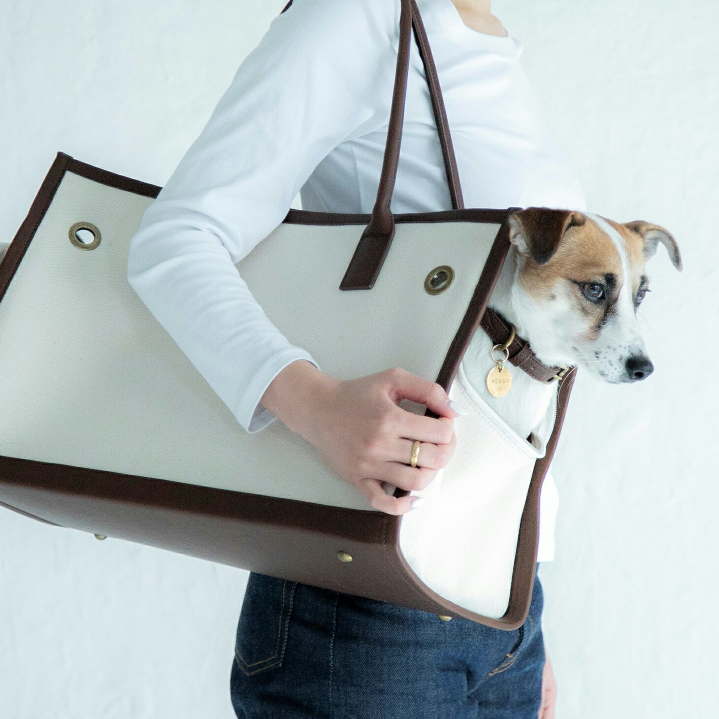 CITYDOG（シティドッグ） ペットキャリー 犬 キャリー バッグ 犬