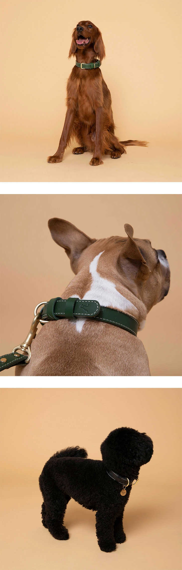 CITYDOG Get the Look