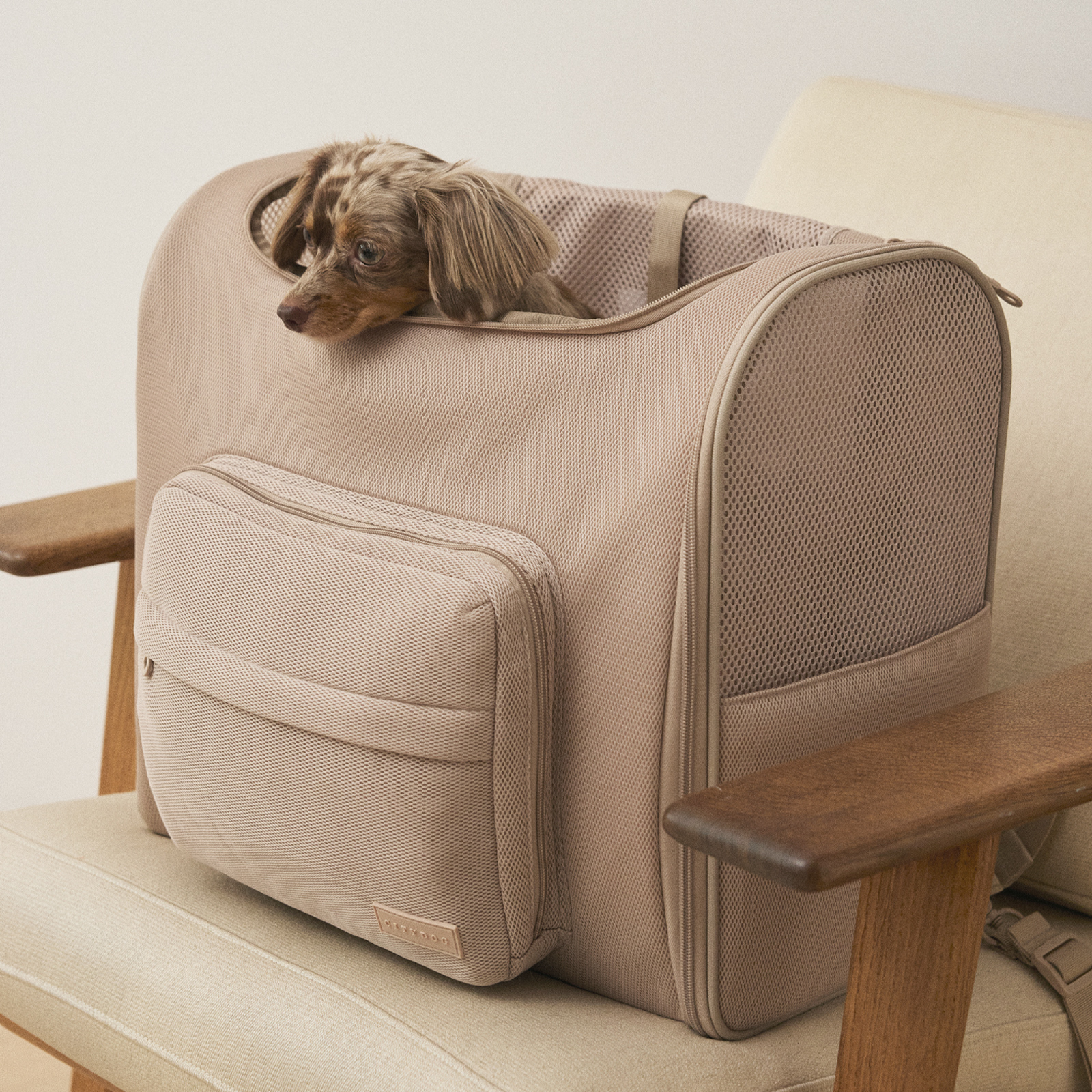 CITYDOG（シティドッグ） 犬 リュック ペットキャリー 犬キャリー
