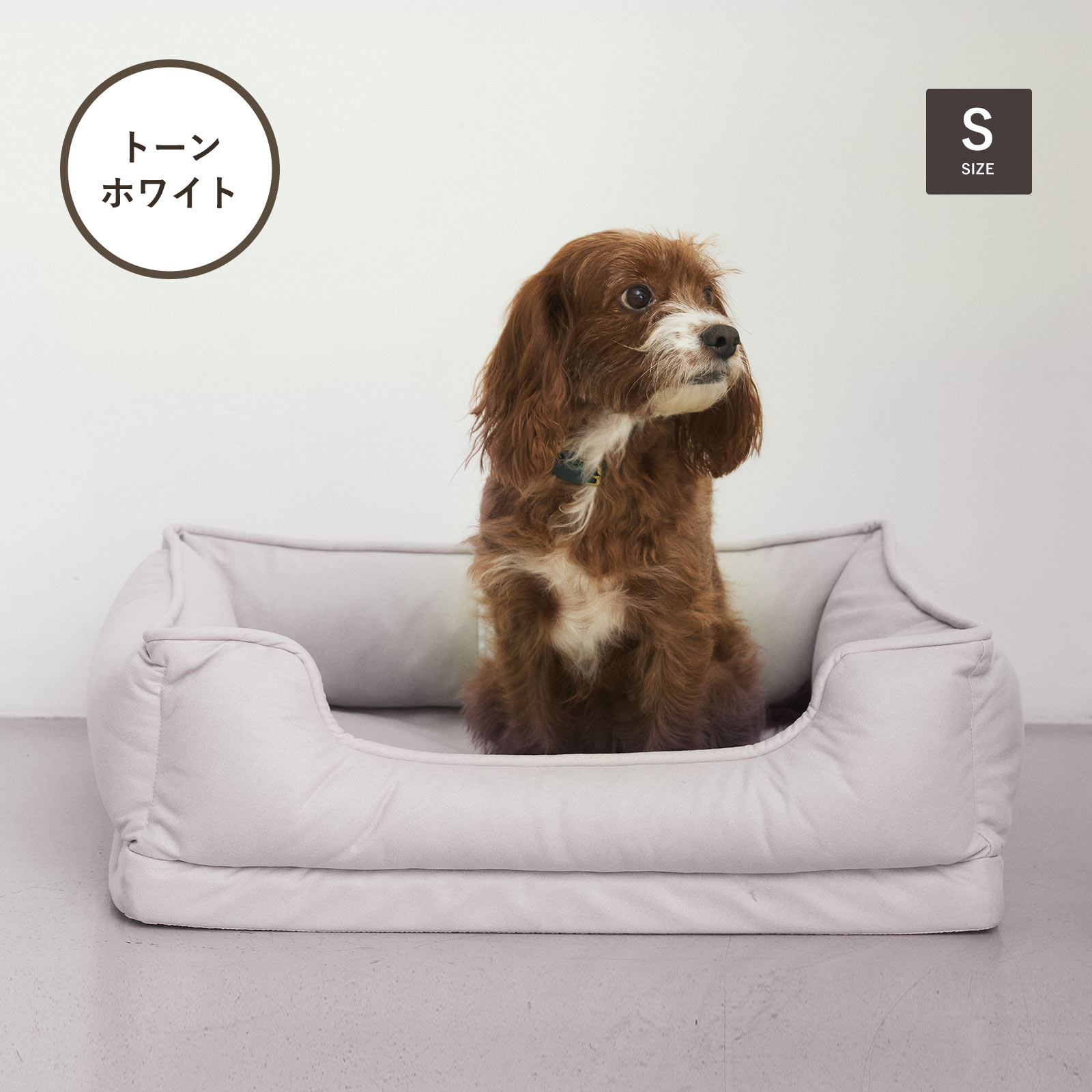 く日はお得♪ CITYDOG 犬 ベッド ラウンジ ベット M 洗える おしゃれ 秋 冬 猫 ベッド・マット・カバー