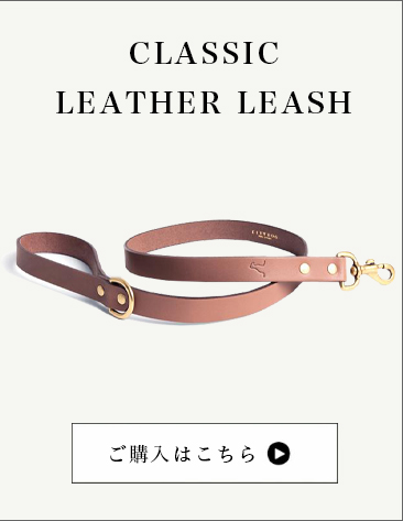 citydog  シティドッグ ステッチレザーリーシュ