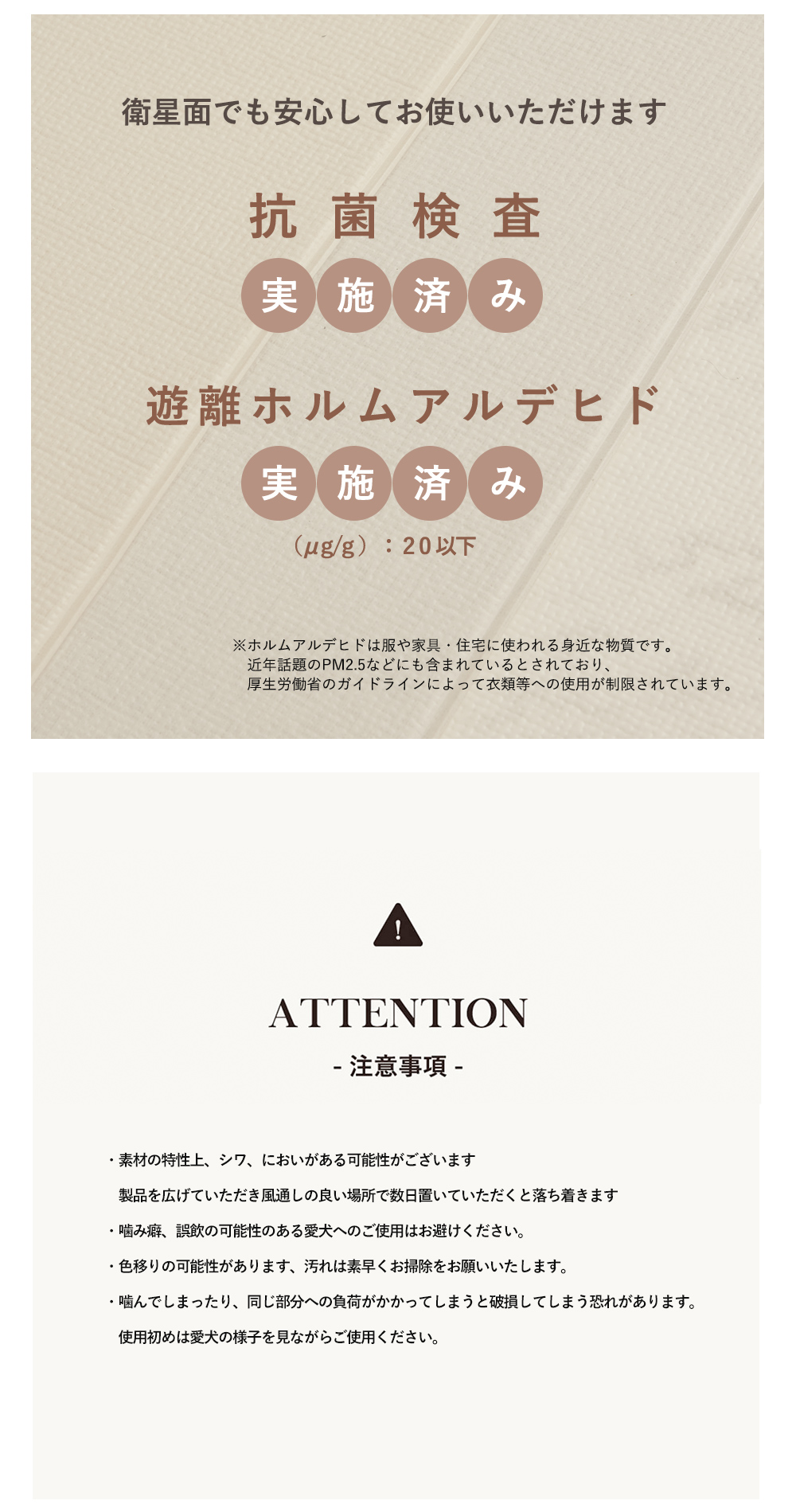 CITYDOG attention