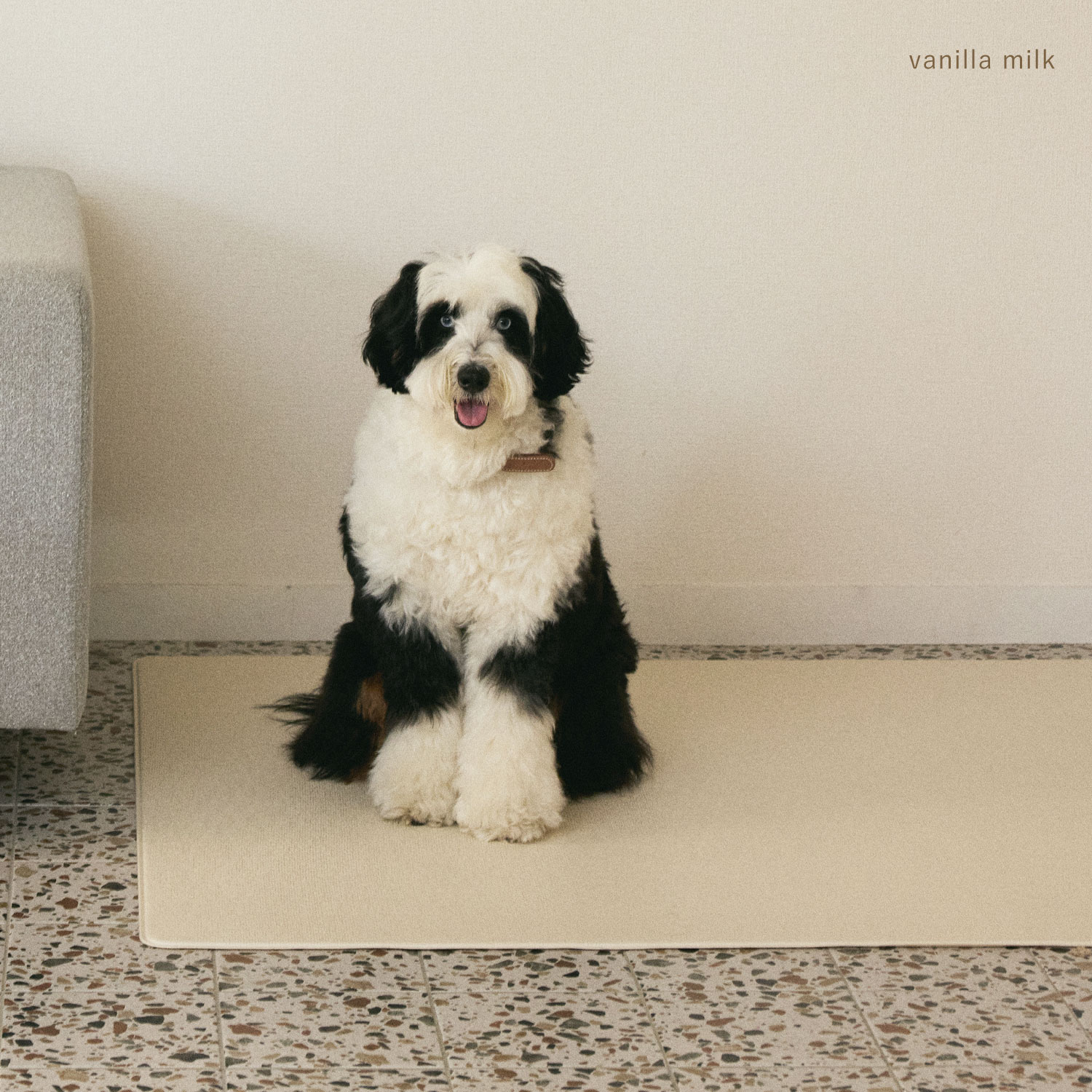 CITYDOG ペットマット