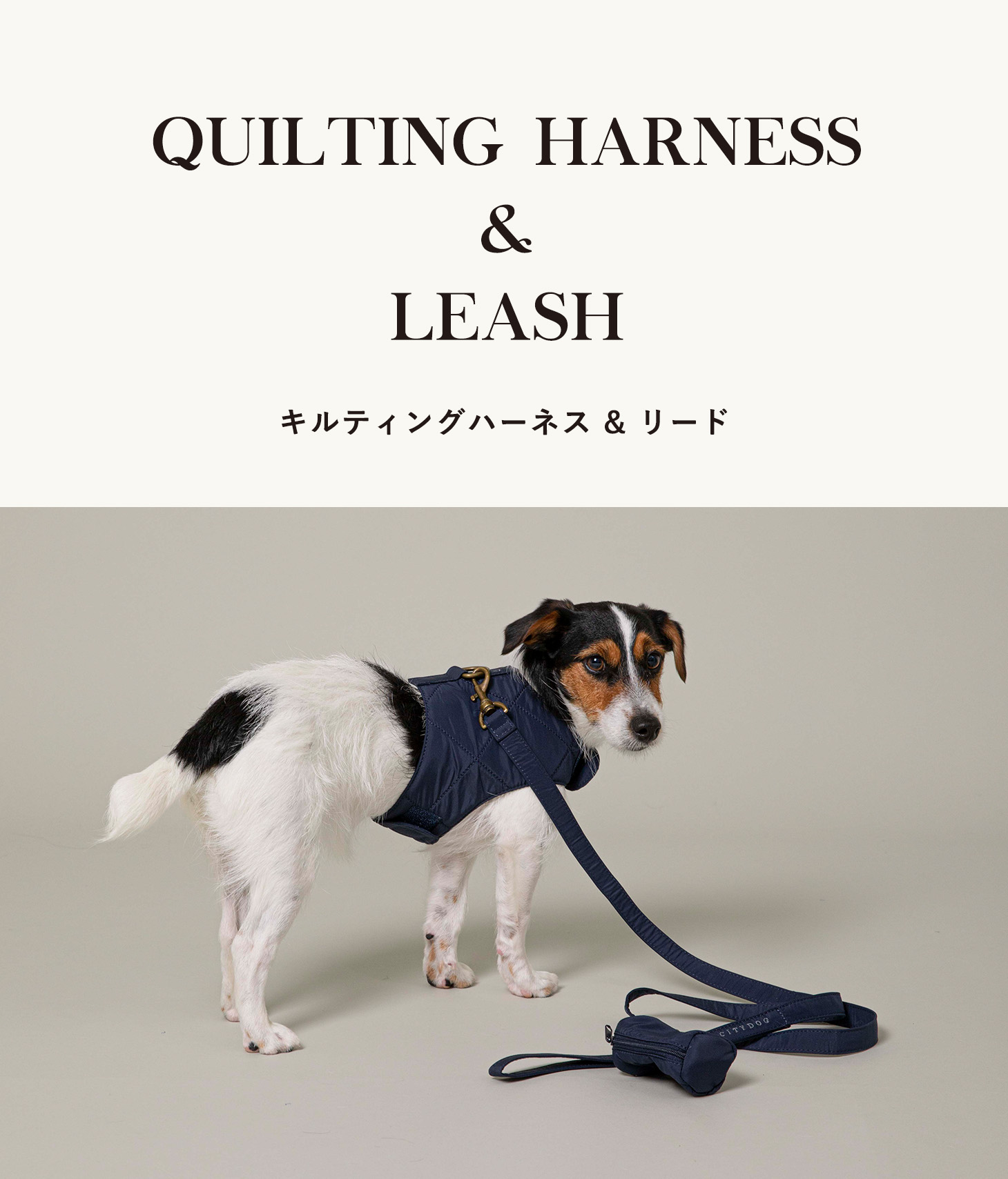 CITYDOG 犬 リード & ハーネス おしゃれ マナーケース 3点