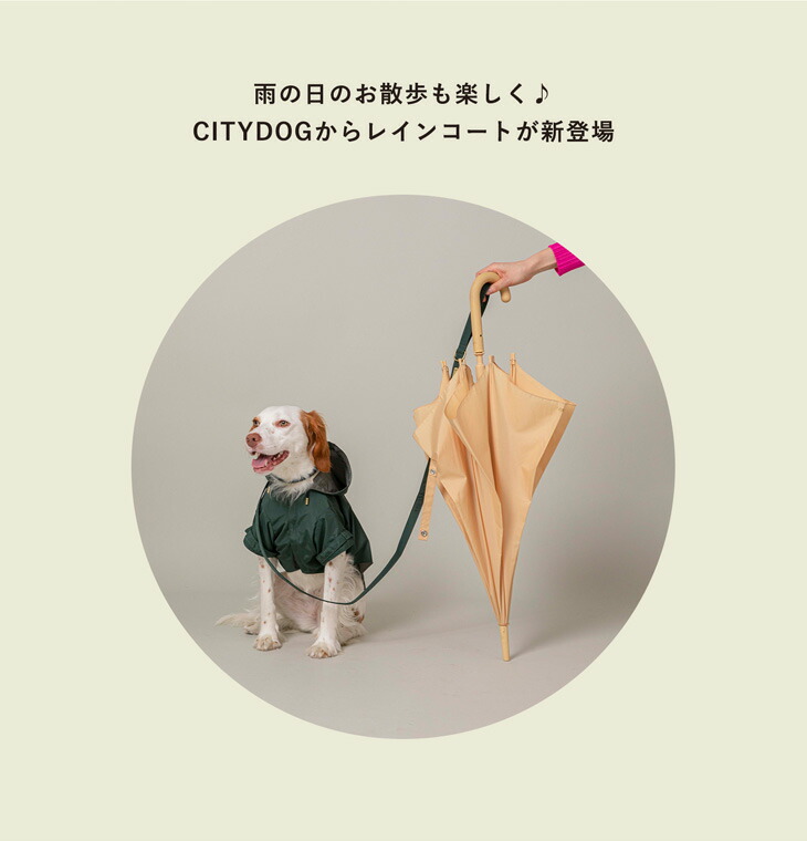 CITYDOG レインコート＆リード