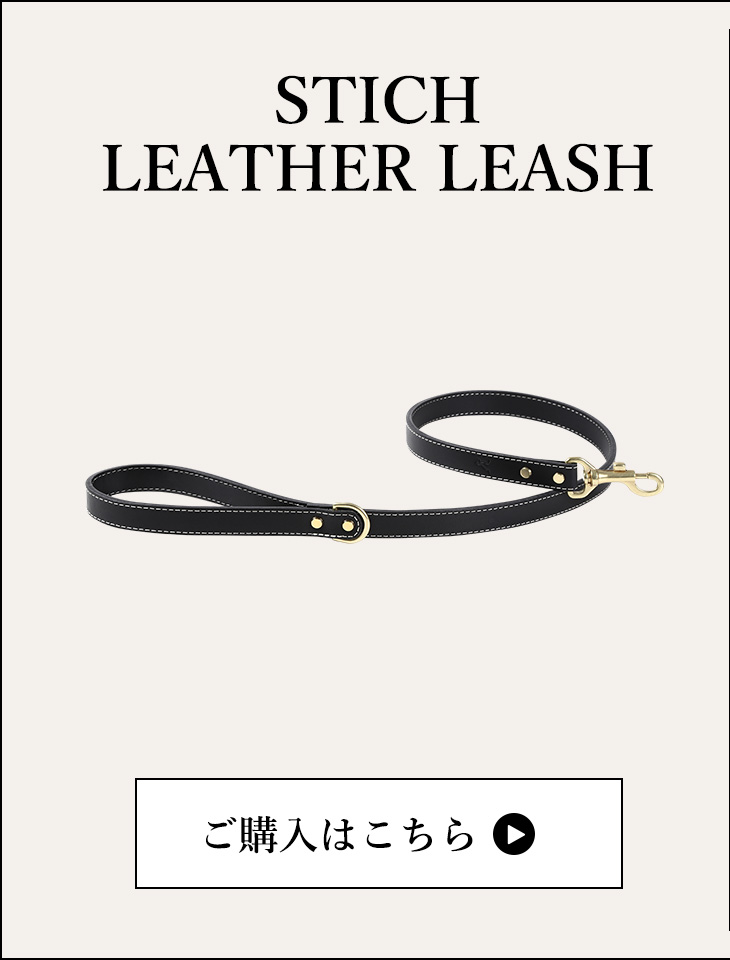 CITYDOG ステッチレザーリーシュ