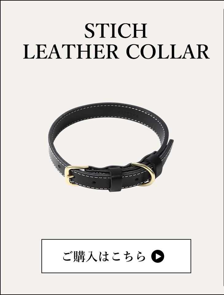 CITYDOG ステッチレザーカラー