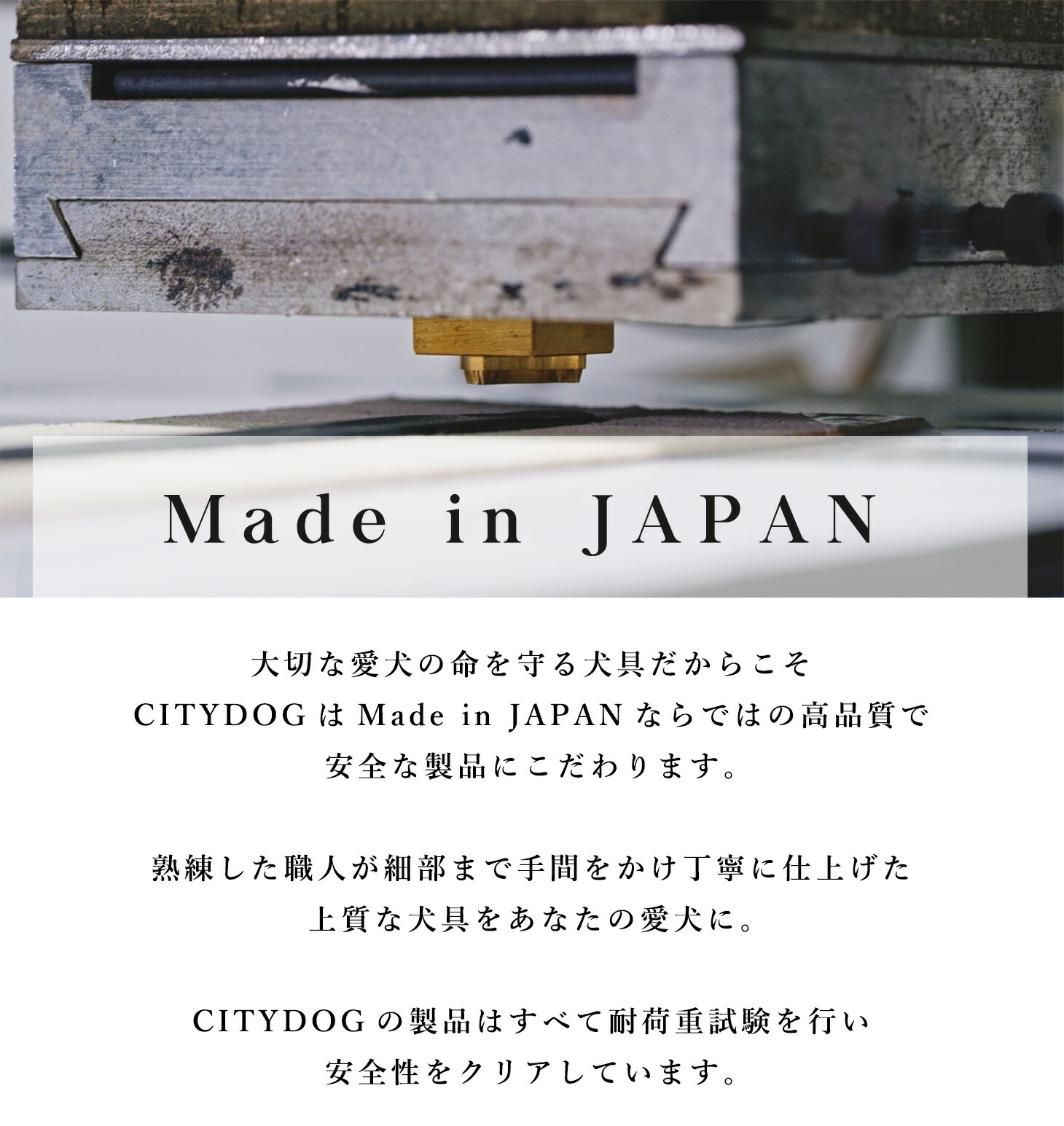 CITYDOG ステッチレザーカラー