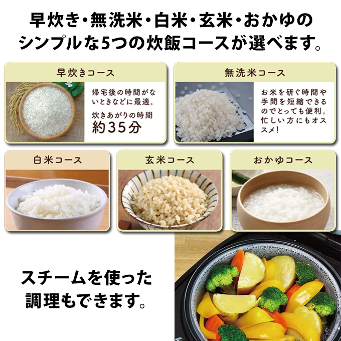 炊飯器 5合炊き 一人暮らし マイコン式 早炊き 無洗米 玄米 おかゆ