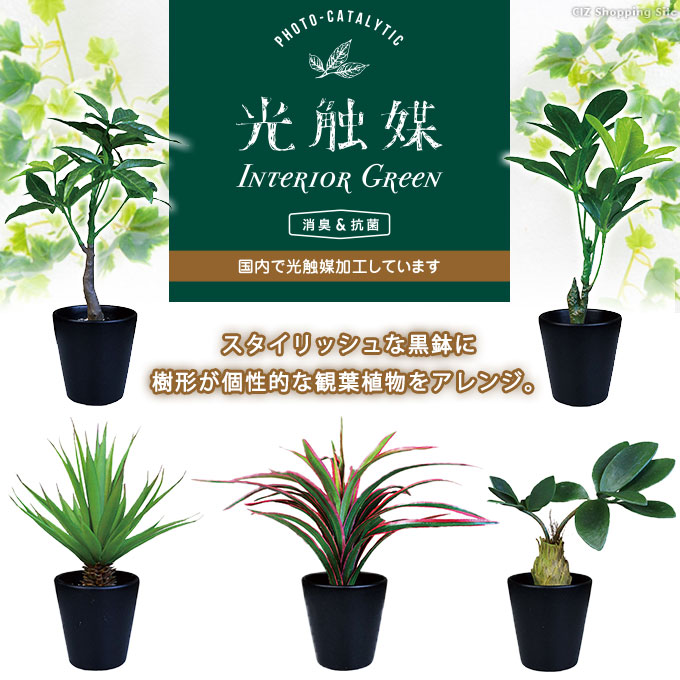 観葉植物 フェイクグリーン 光触媒 かわいい 卓上観葉植物 パキラ